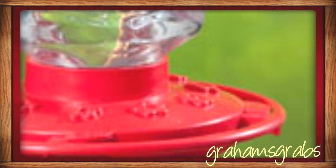FIRST NATURE HUMMINGBIRD FEEDER 32 OZ WIDE MOUTH #3055 EASY CLEAN MADE IN USA!
