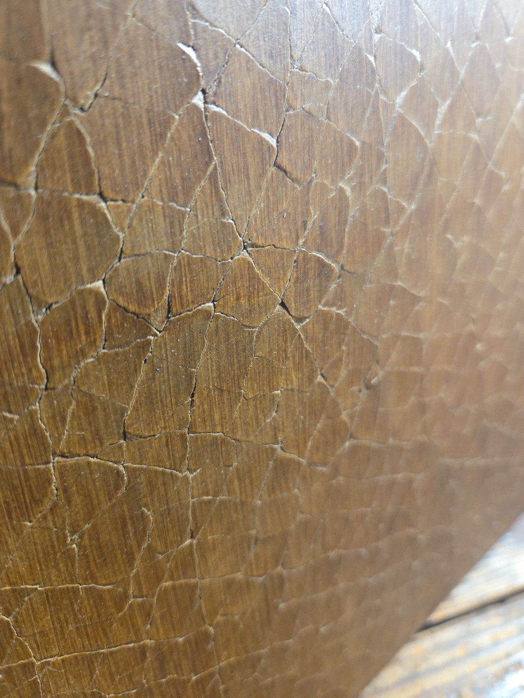 Unique and Unusual Lamp Shade Unknown Material Leather Turtle Heavy MCM