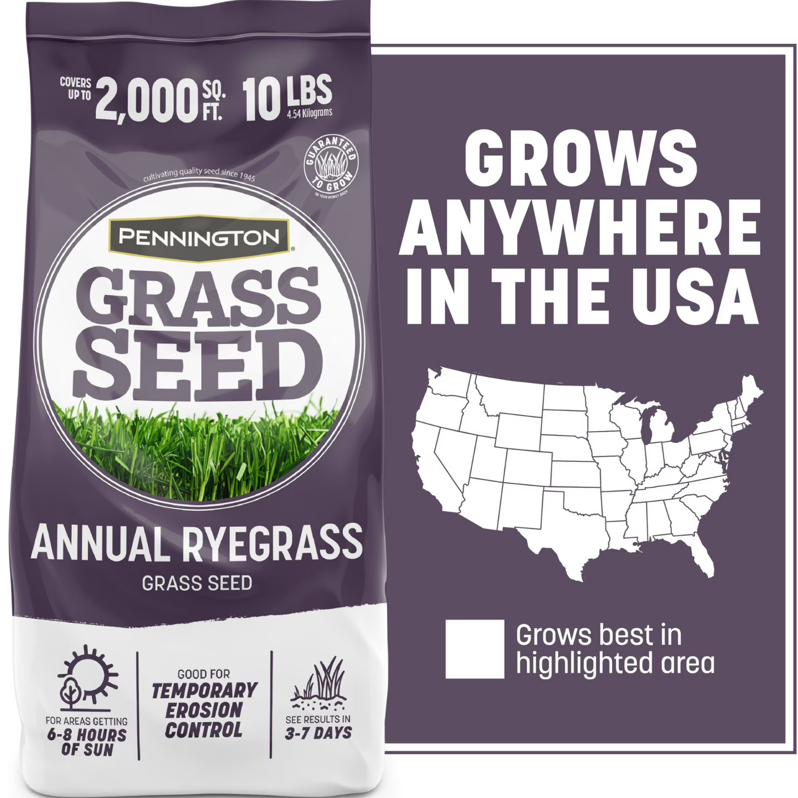 Pennington Annual Ryegrass Grass Seed Full Sun Partial Shade 10 lb Bag New