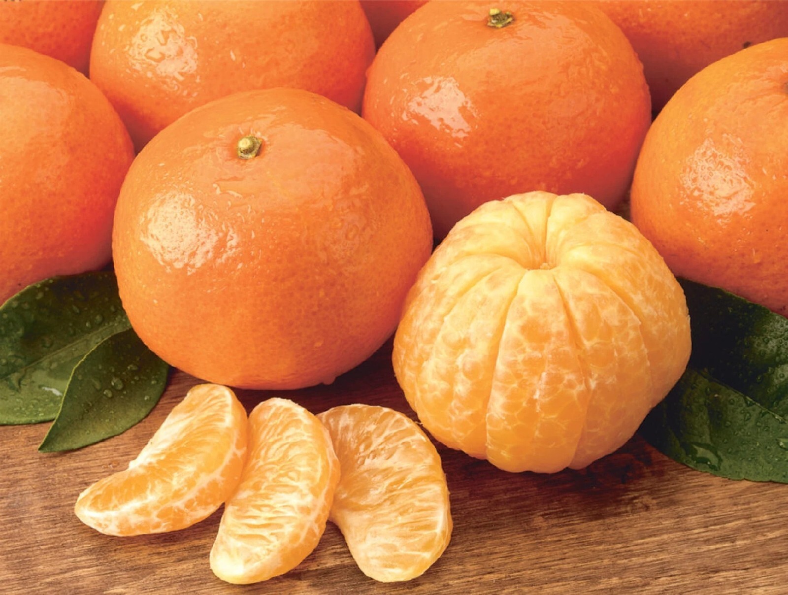 Dwarf Mandarin Orange Tree Organic {Citrus reticulata} 10 seeds Free Shipping!