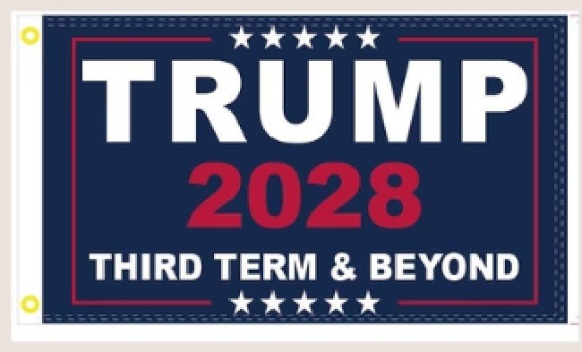 3X5 TRUMP 45 47 2028 THIRD TERM BLUE FLAG BANNER 100D GROMMETS