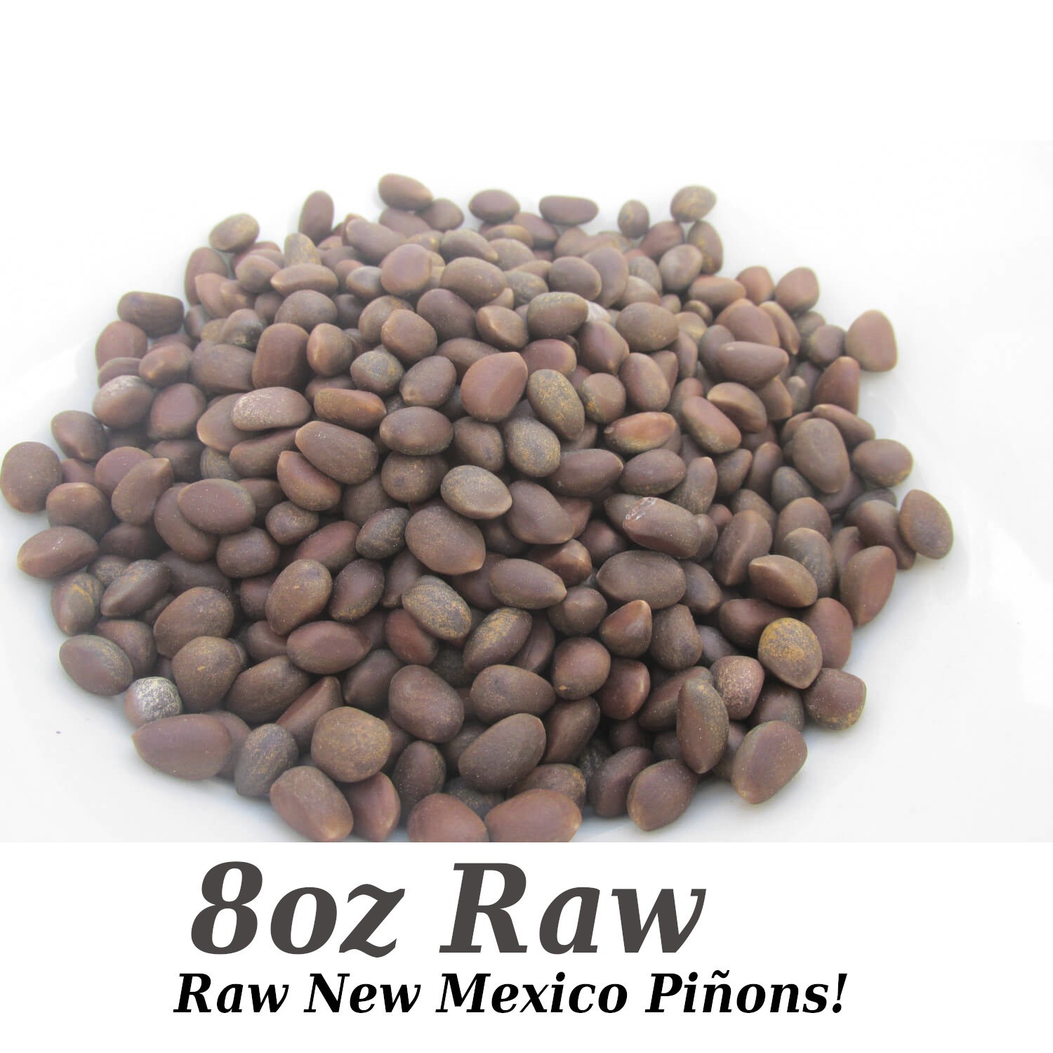 Piñon Pine Nuts, New Mexico Pinon, 2024, 8oz Raw | Navajo Nation, Zuni Mountains