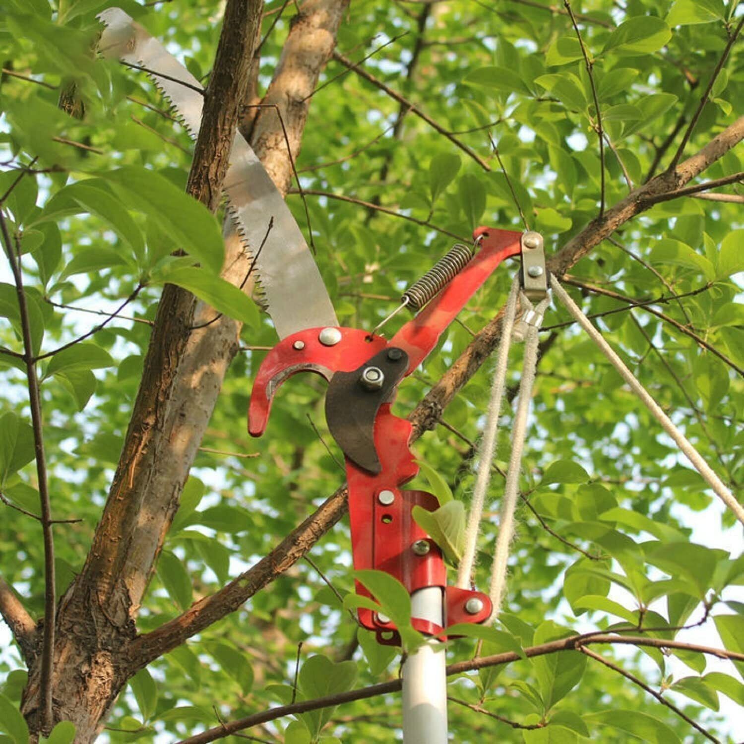 Retractable High Reach Tree Trimmer Pruner Saw Garden Branch Cutter Without Pole