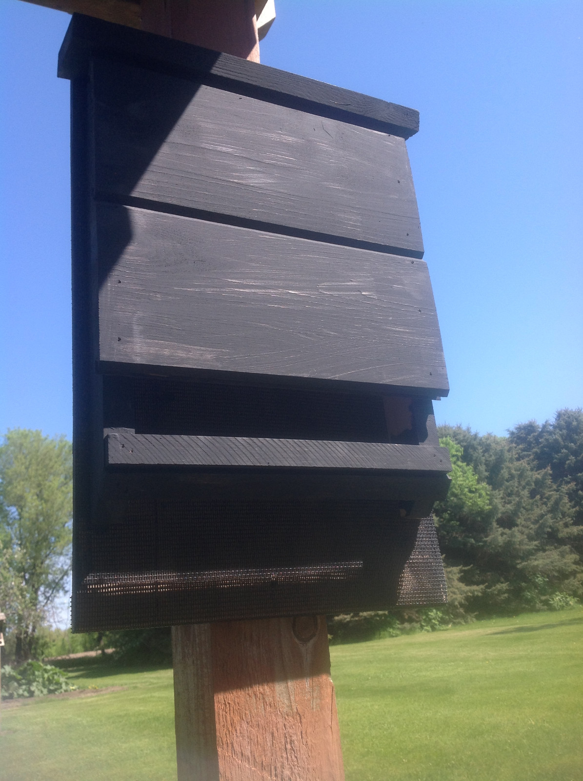 ^v^ NEW LARGE CHAMBER KEVLAR LINED SOLID BLACK BAT HOUSE BOX WITH PREDATOR GUARD