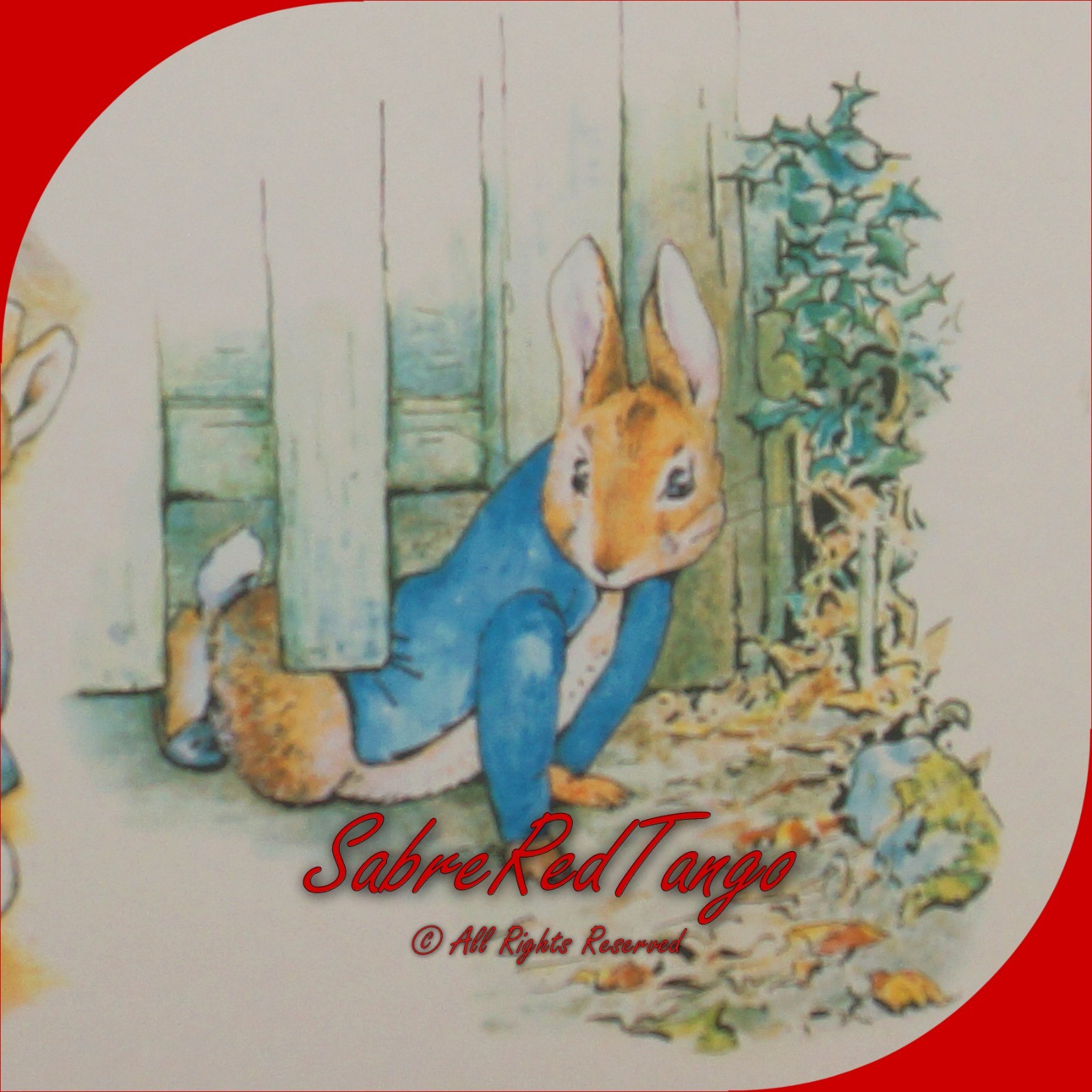 NOS VINTAGE 90S BEATRIX POTTER PETER RABBIT BORDER BPC13020W