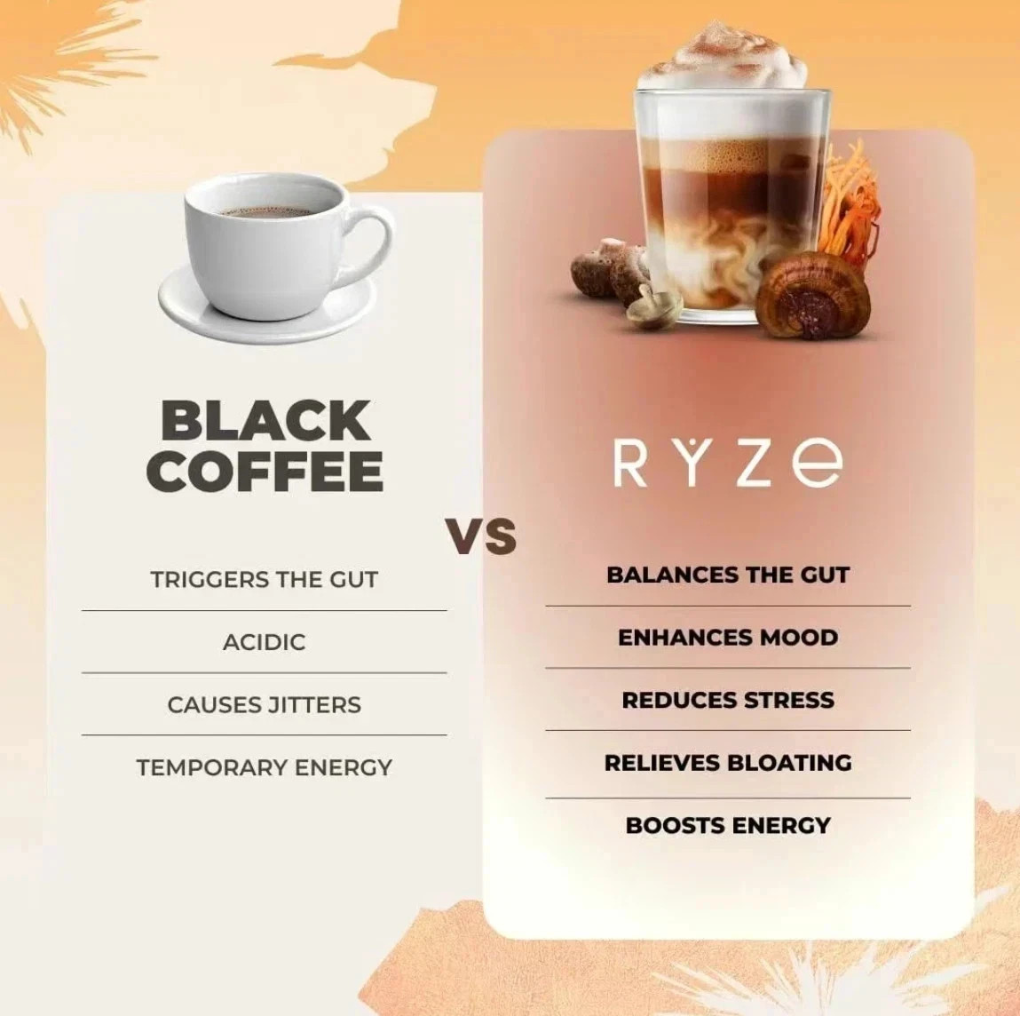3 Pack Organic RYSE Mushroom Coffee – 30 Servings Per Pack – Free Shipping