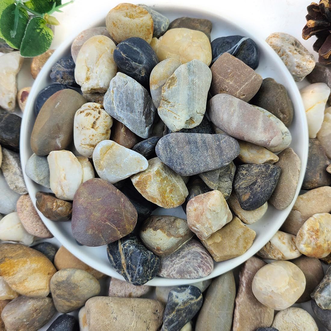 20Lbs Aquarium Rocks, 5/8″ Natural River Rocks for Plants | Decorative Polished