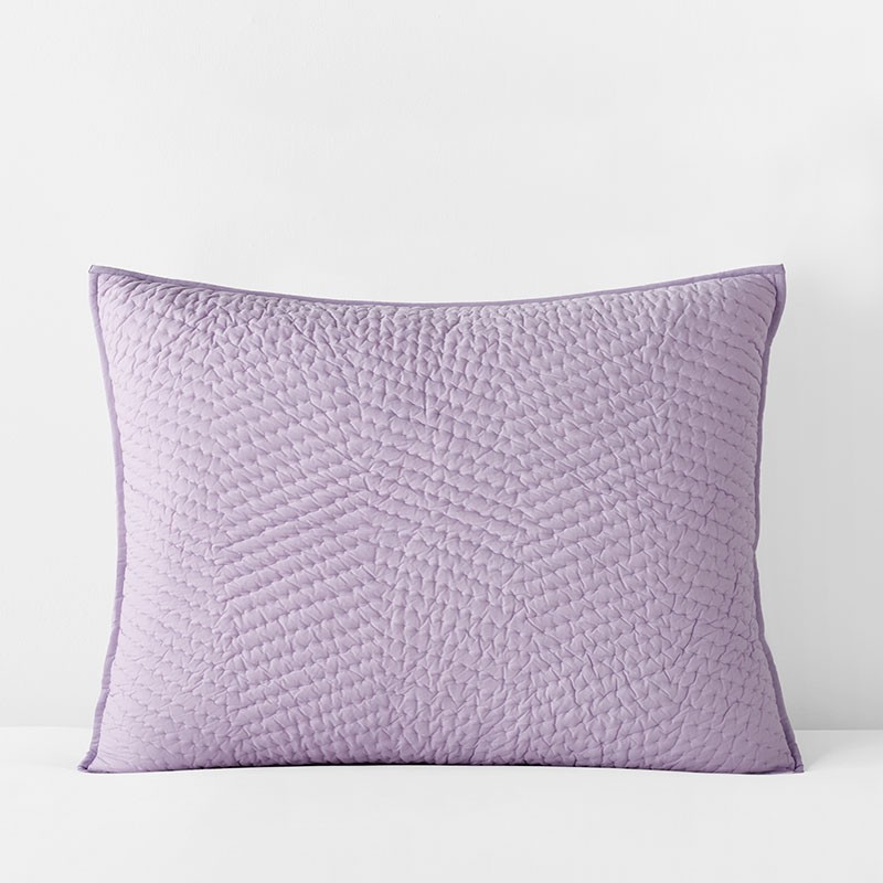 The Company Store Set of 2 Voile Sham