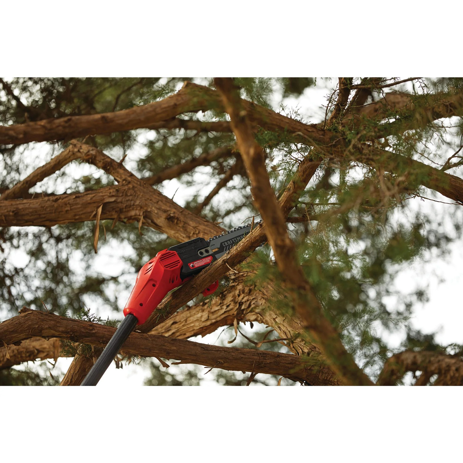 CRAFTSMAN V20* 8-in. Cordless Pole Chainsaw (Tool Only) – CMCCSP20B