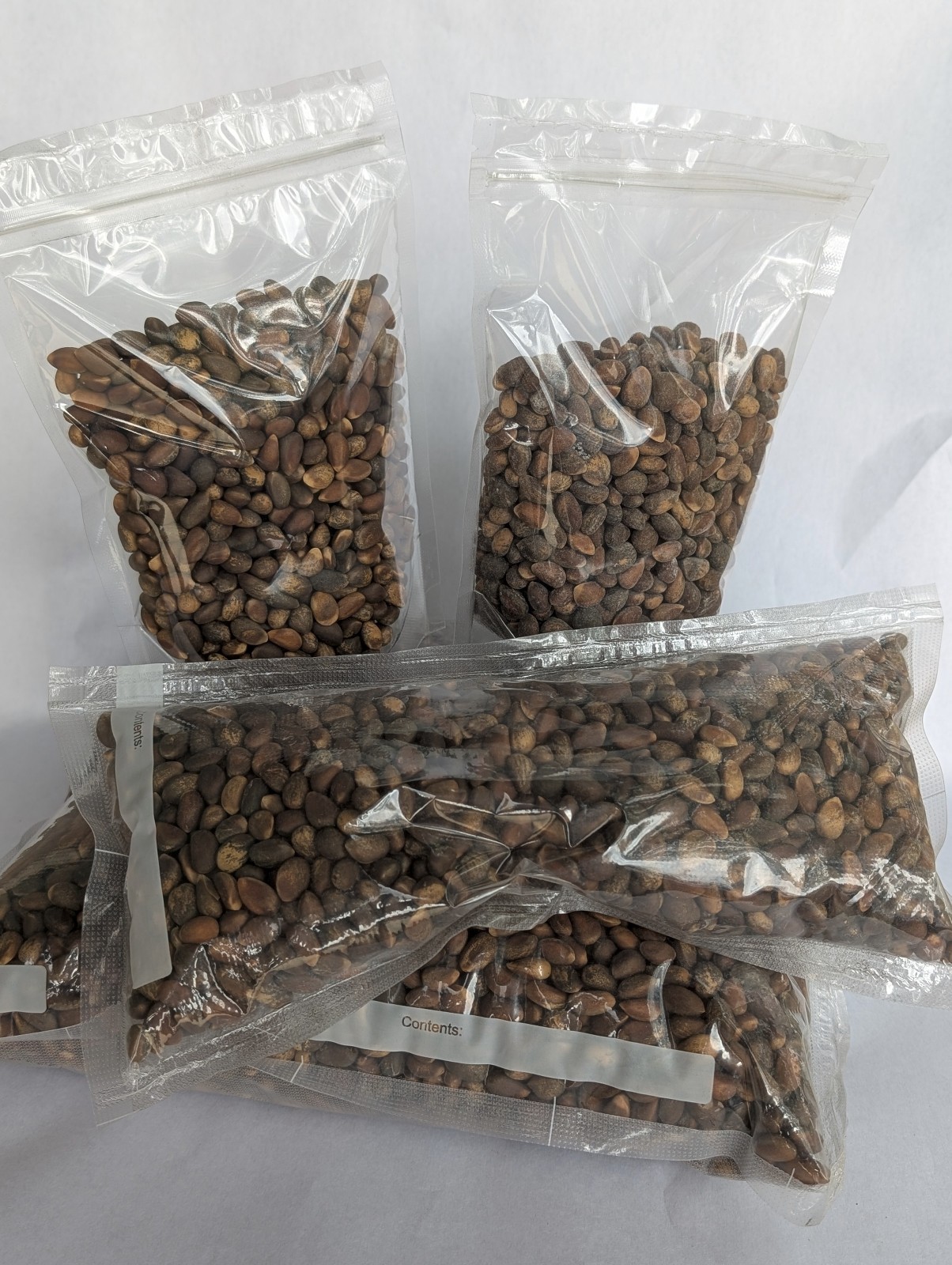 New Mexico Piñon Pine Nuts, 5lbs Raw Pinon | Navajo Nation, Zuni Mountains