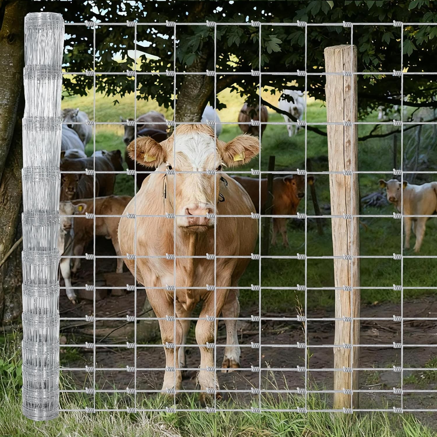 4/5/6FT x 164/328FT Farm Fence Outdoor Galvanized Cattle Fence Animal Protection