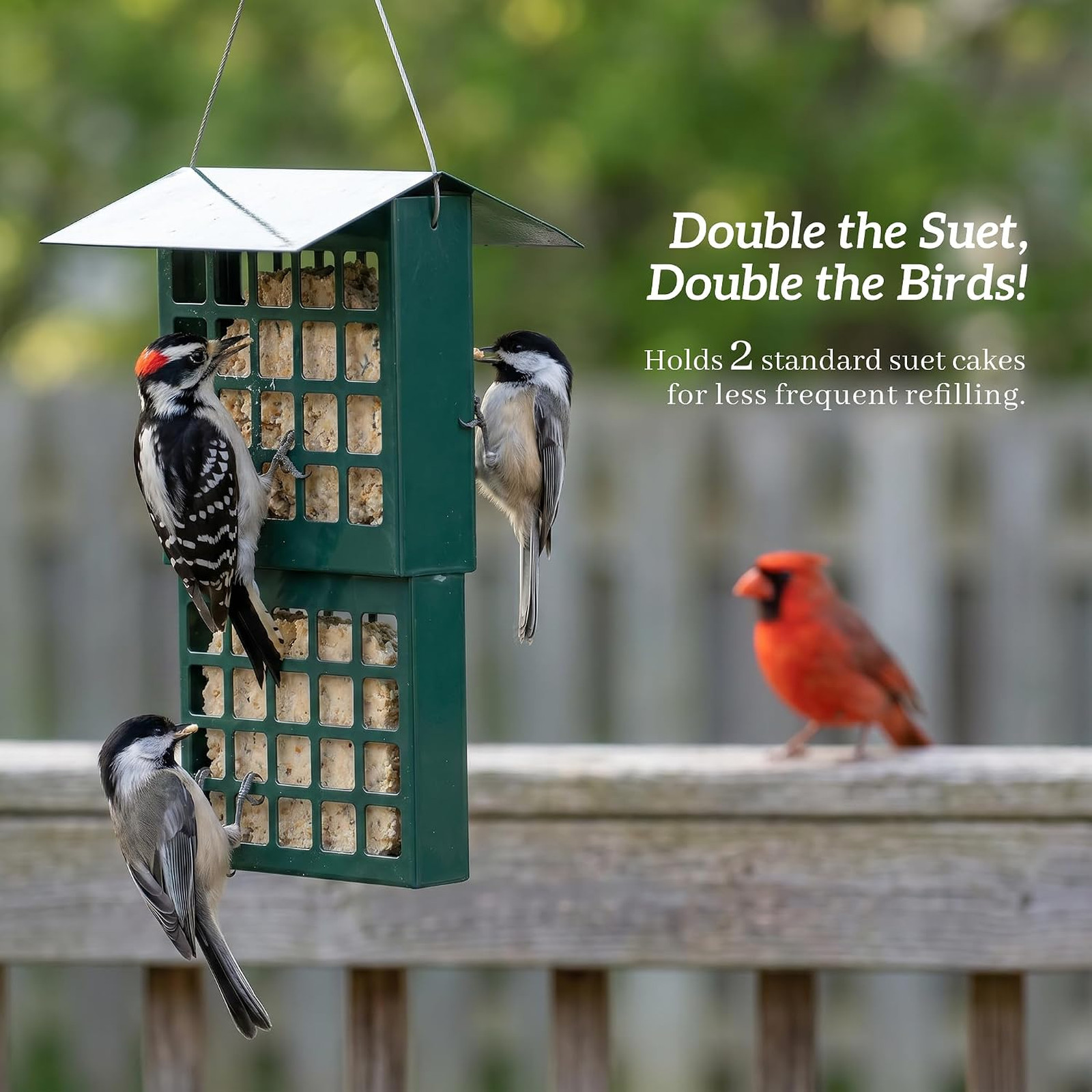 Wild Bird Feeder Suet Metal Hanging Double Capacity All Weather galvanized steel
