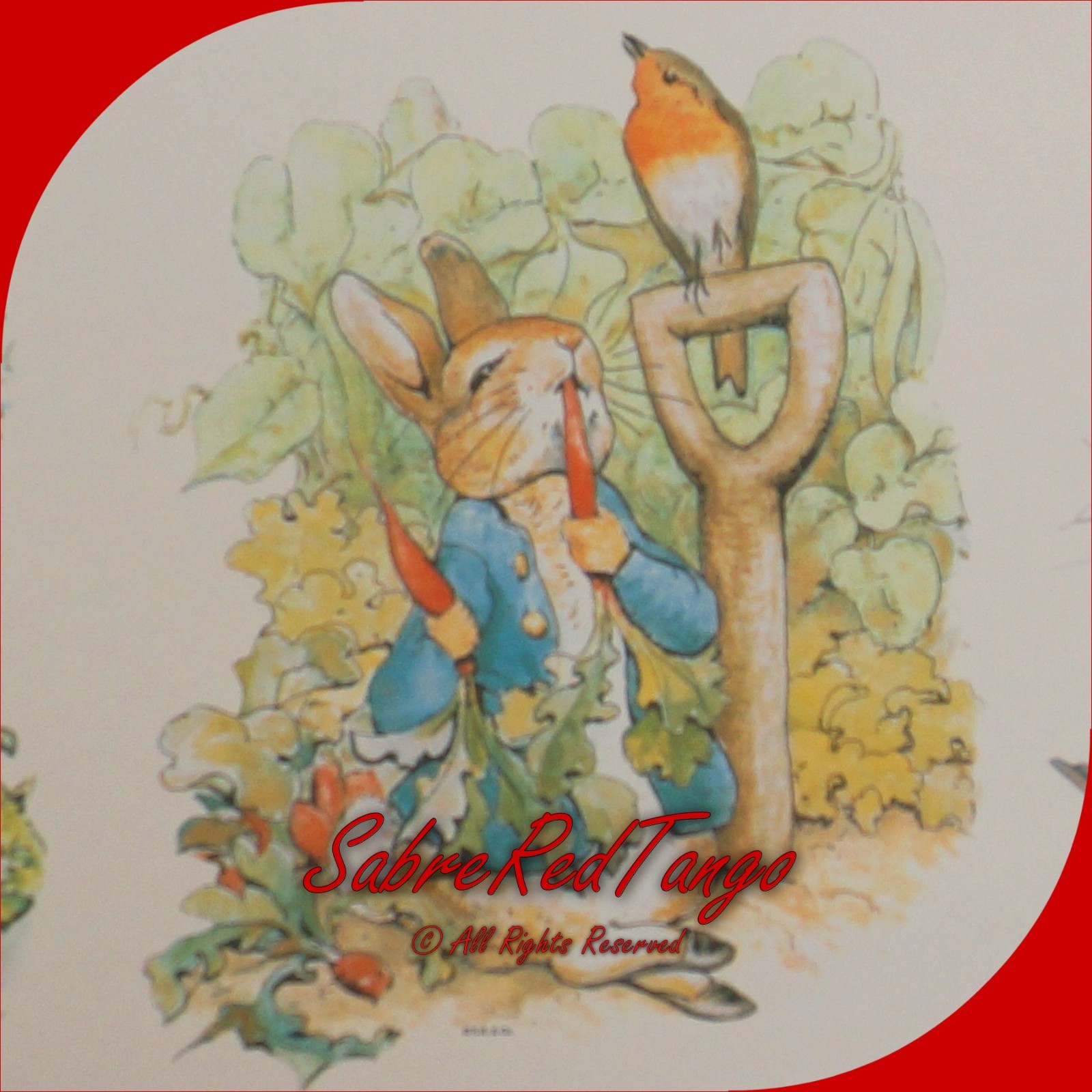 NOS VINTAGE 90S BEATRIX POTTER PETER RABBIT BORDER BPC13020W