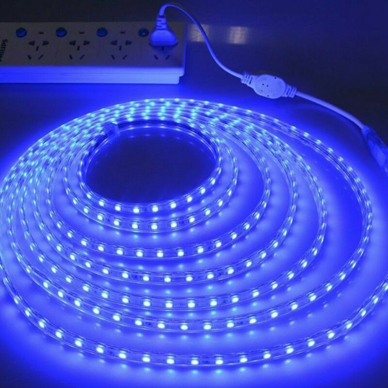 110V 220V 1m-20m Waterproof 5050 LED Flexible Tape Rope Strip Light Xmas Outdoor