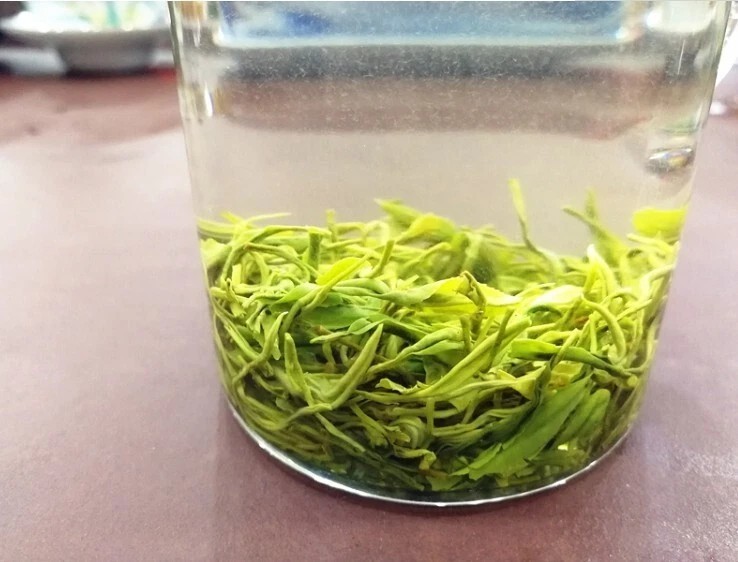 1000g spring new tea Yong Chuan Xiu Ya Tea Chongqing Yongchuan Xiu Bud Green Tea