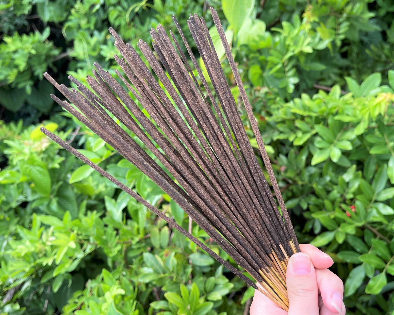GR Premium Indian Incense Sticks: Pack of 20 (BUY 3 GET 3 FREE!) FREE SHIPPING!