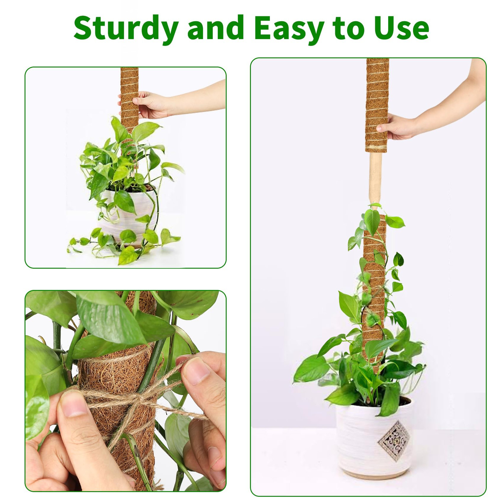 Moss Pole, 4 Pack 17inch Monstera Plant Support Stackable Moss Poles for Plants