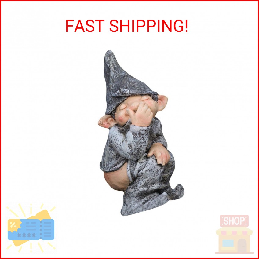 THE PERFECT PART Funny Pooping Mini Statue, Naughty Resin Garden Gnome for Decor