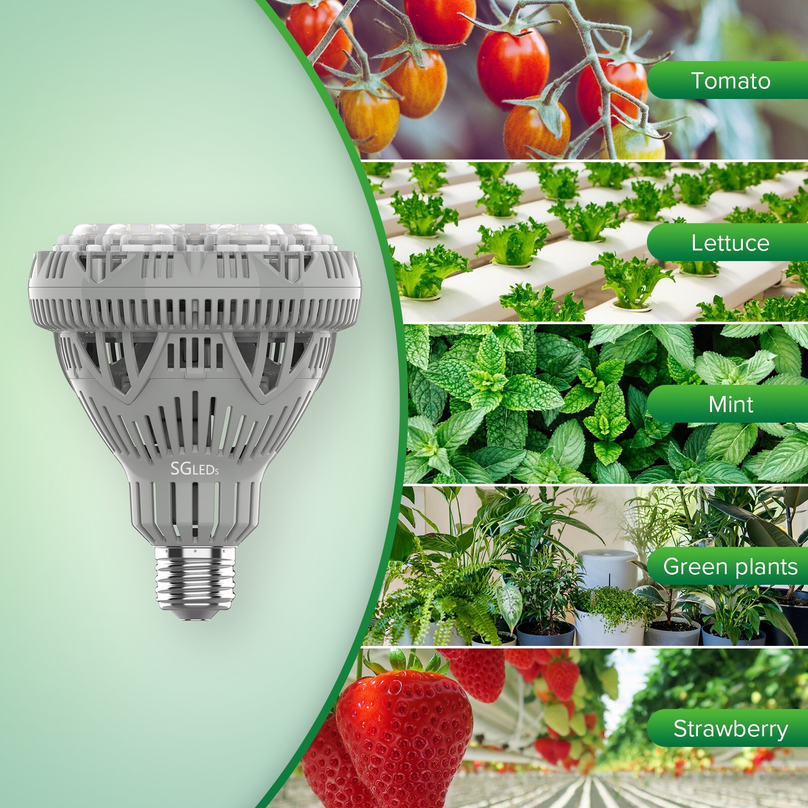 300W Equiv. LED Grow Light Bulb Sunlike Full Spectrum 24W Indoor Veg Bloom E26