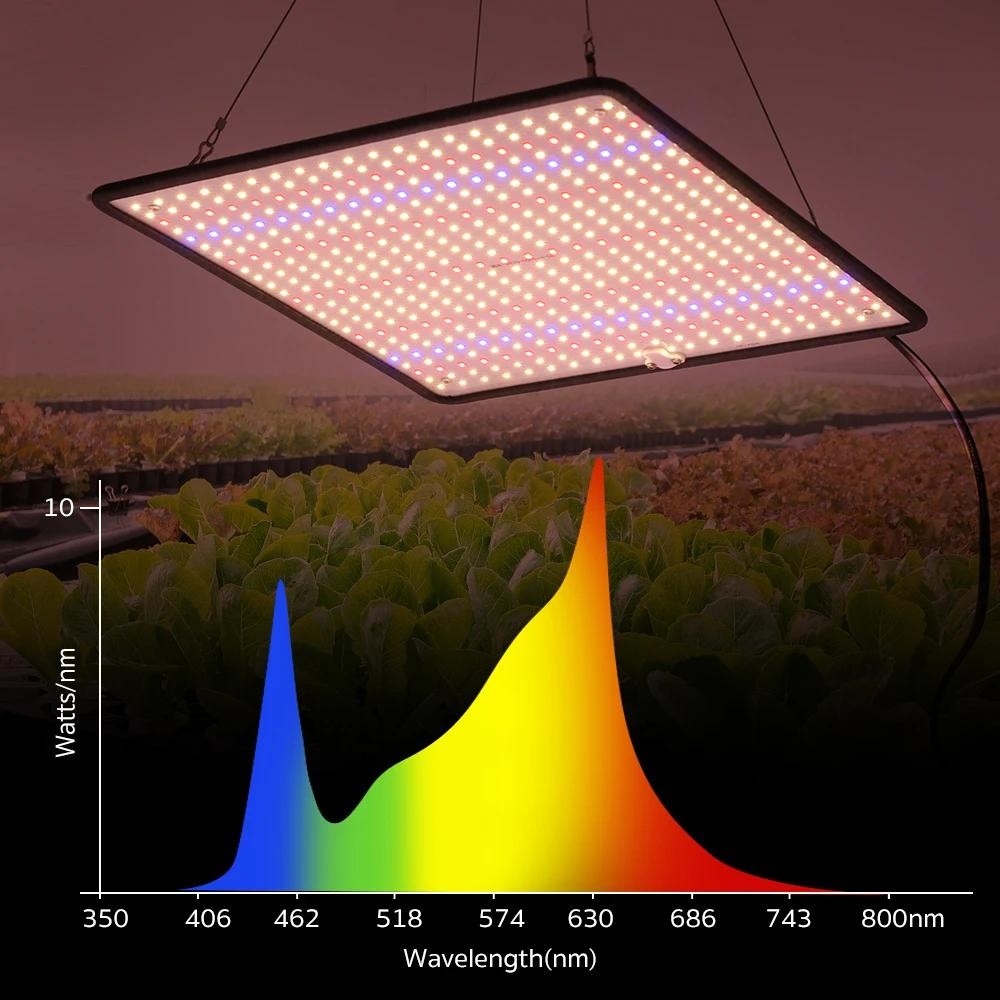 Grow Light 1200W Full Spectrum LED for Indoor Plant Growth 4×4 ft Coverage Area