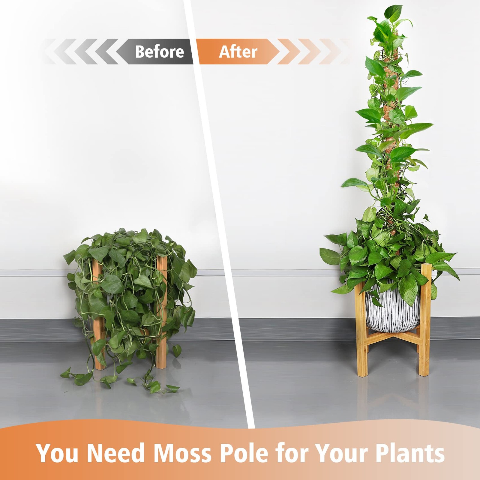 【4 Pack】 JJGoo Moss Pole, 17 inch Coco Coir Totem Poles Extending to 53 Inche…