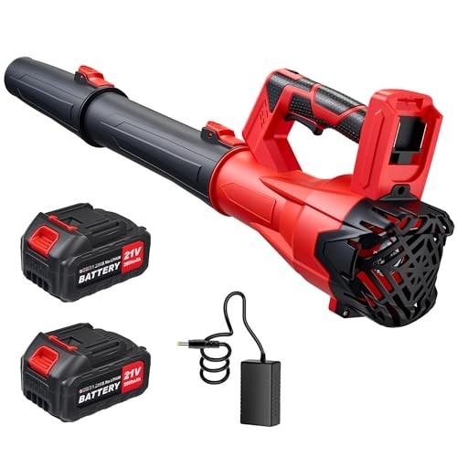 Powerful 650CFM Cordless Leaf Blower, 21V, 6-Speed, 2 Batteries & Charger, Yard