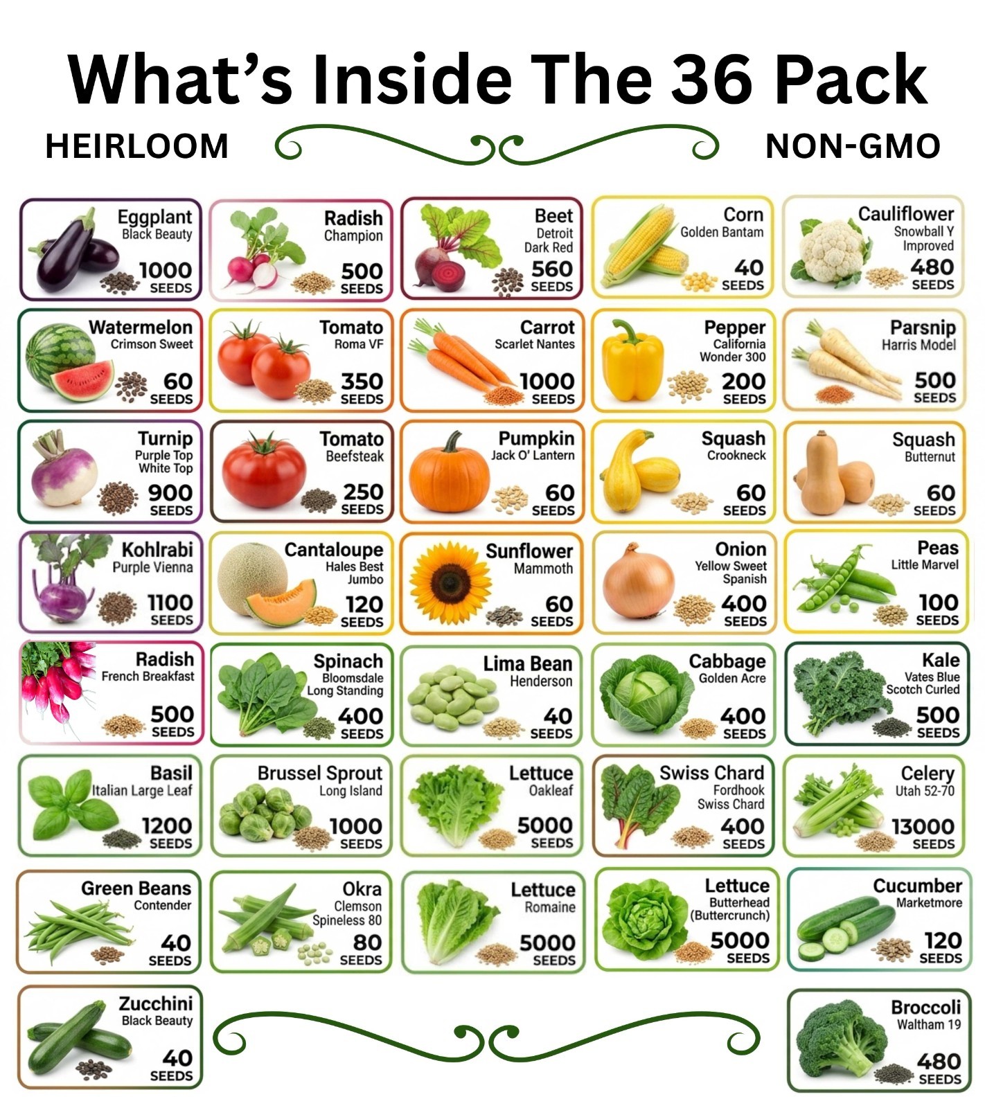 20-50 Variety Heirloom Vegetable Herb Seeds Kit 10000-50000 Bulk Garden Seed Lot