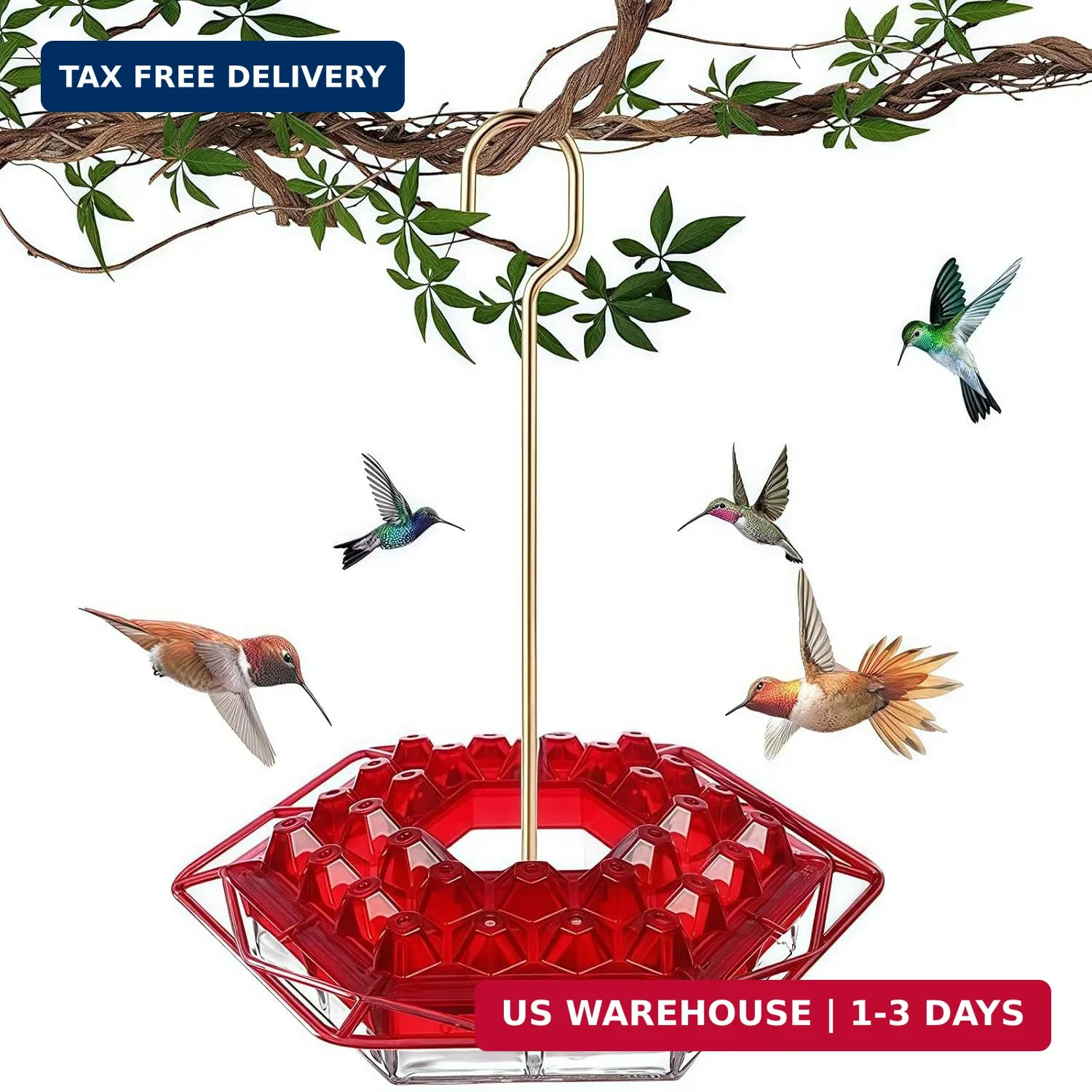Hummingbird Feeder with Ant-Proof Moat Hummingbird Feeder, Easy to Clean and Ref