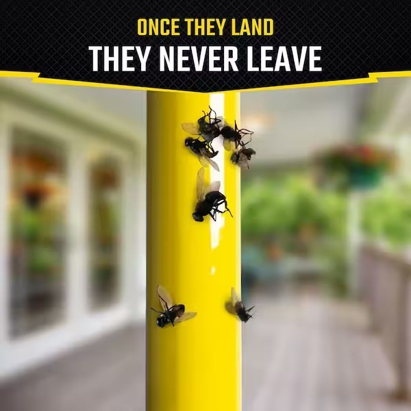 Fly Stick Insect Trap (2-Pack)