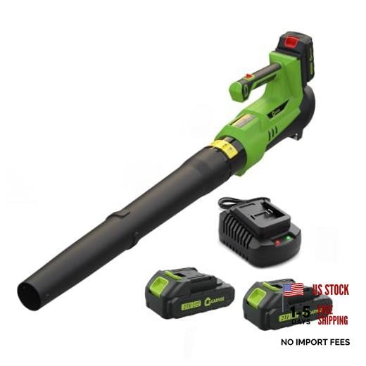 Cordless Leaf Blower, 6-Variable Speed, 550CFM & 130MPH, Electric Leaf Green