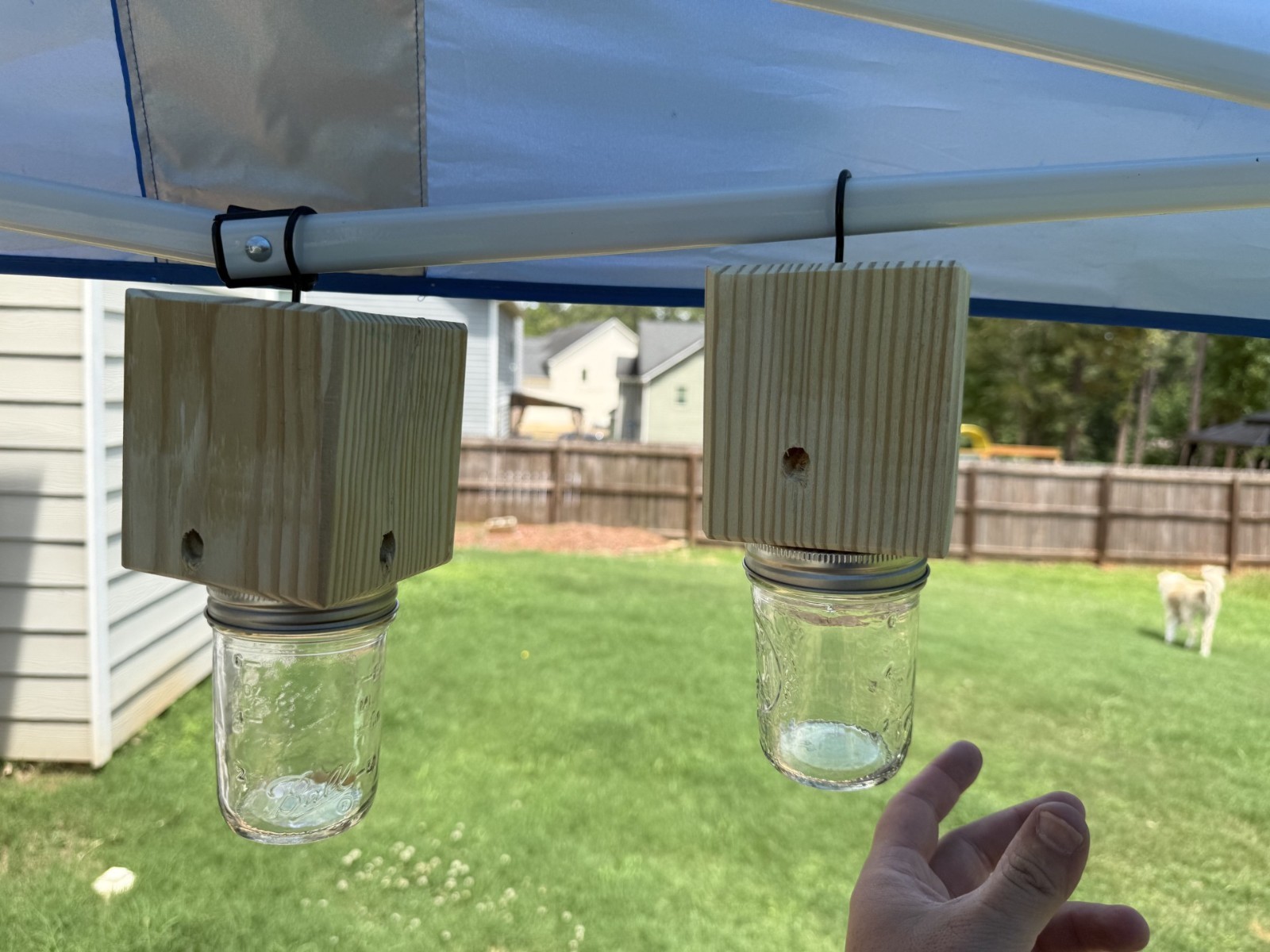 Set Of 2 Handmade Soft Pine Carpenter Bee Traps W/ Jars & Hooks- Free Shipping!