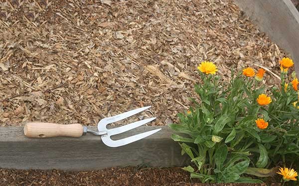 Weeding Fork Hand Garden Tool Stainless Steel Wood Handle Gardening Implement