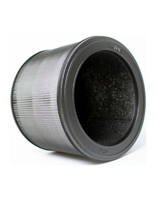 Winix Replacement Filter O for A231,A230 Air Purifier,12 Months of Filtration