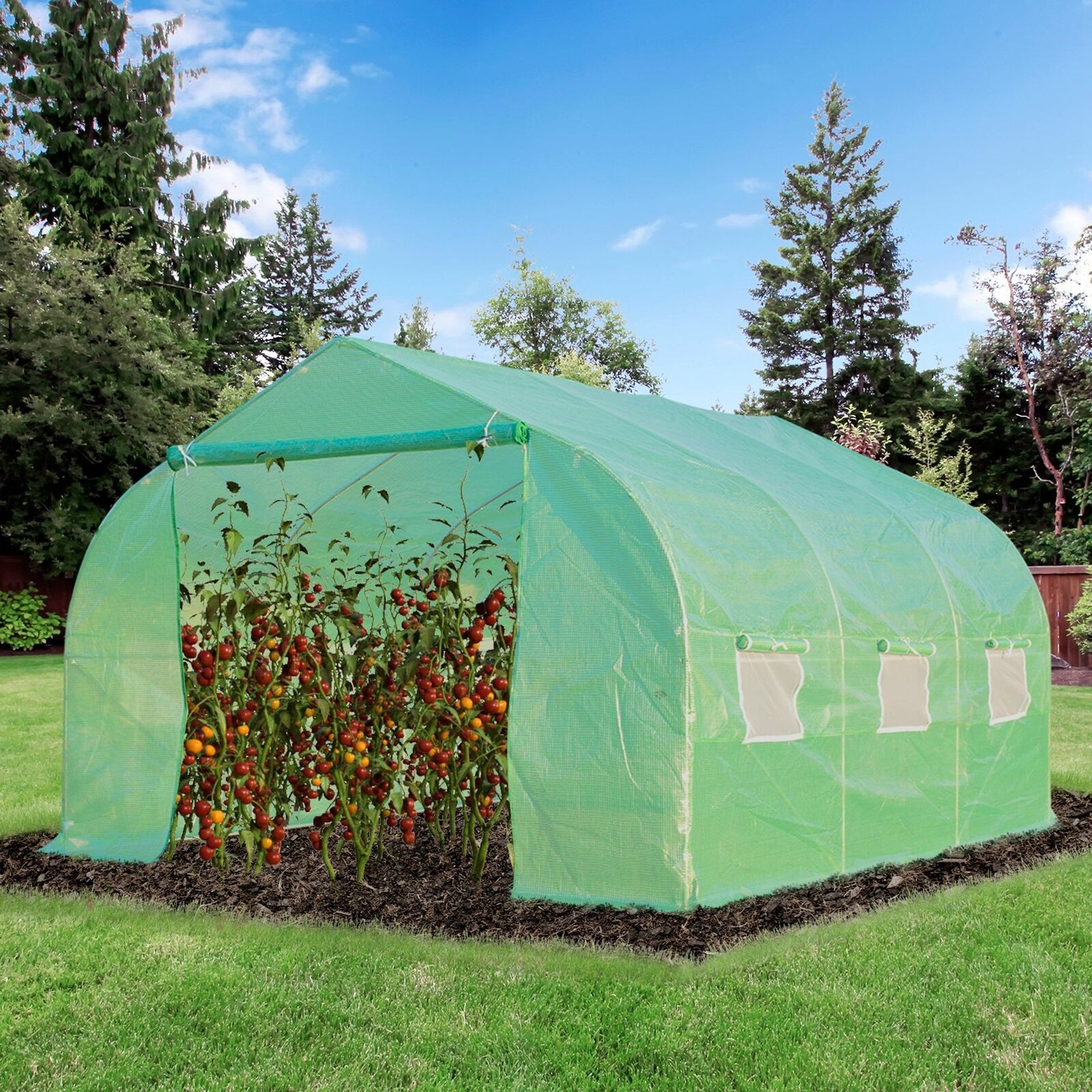 Walk-In Tunnel Greenhouse 11.4 x 9.8 x 6.8 ft Roll-Up Door 6 Windows