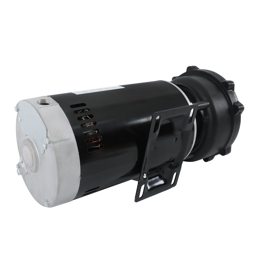 Executive 56-Frame 4HP Dual-Speed Spa Pump, 2in Intake, 2in Discharge