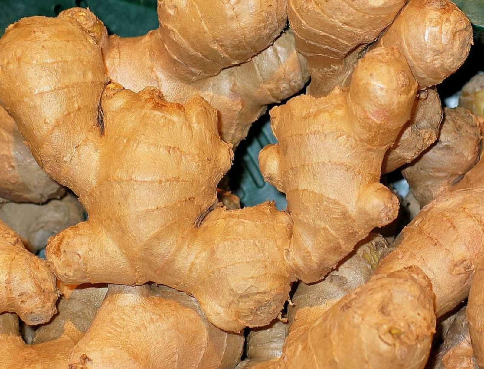 0.5- 7 Ibs – Fresh Ginger Root Organic USDA Certified
