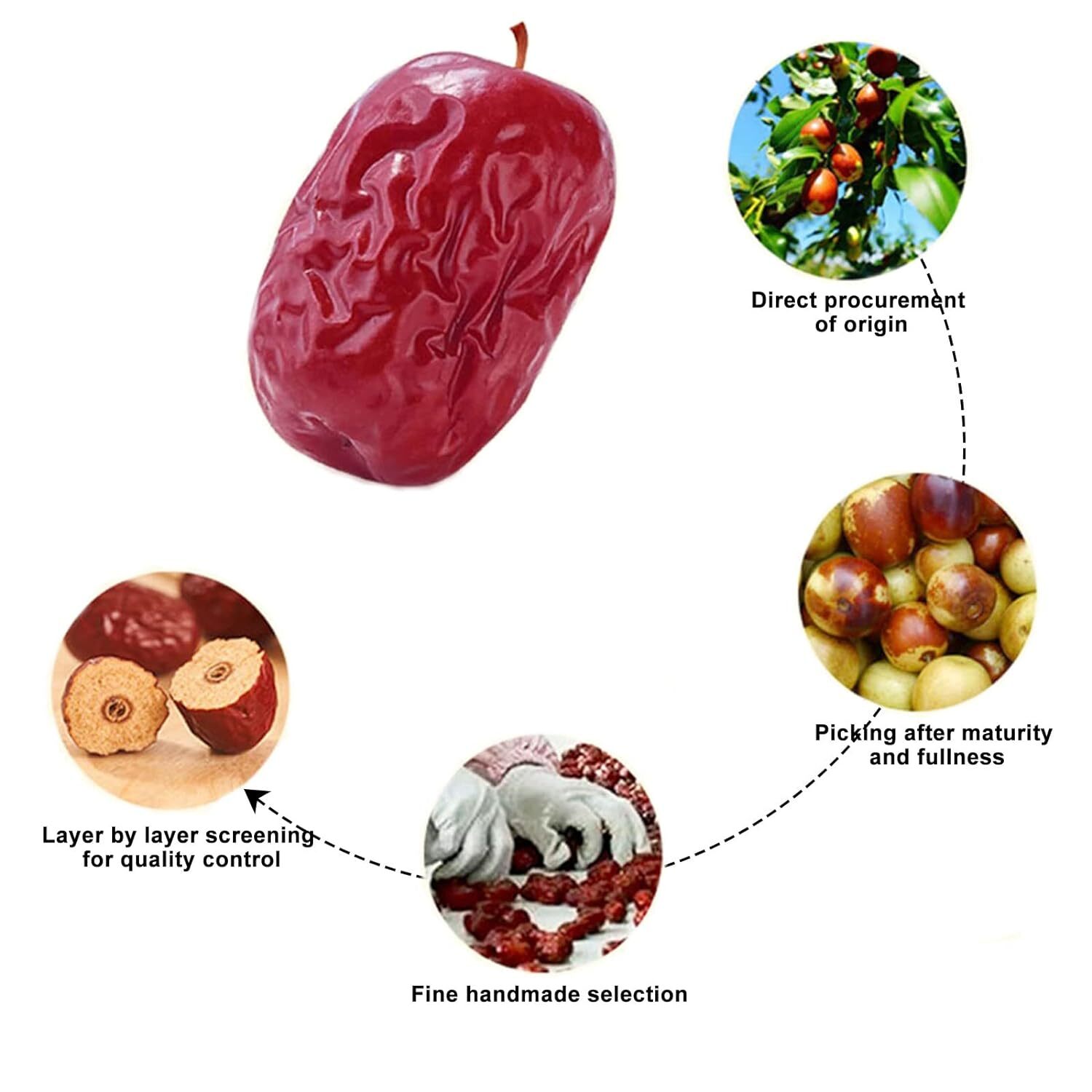 Dried Red Dates Red Jujube Chinese Dates 0.5lb – 5lb 新疆红棗