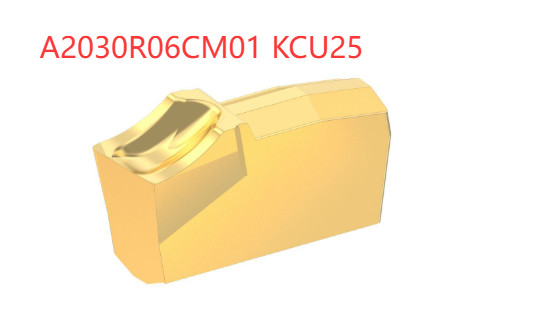 ORIGINAL 10 PCS USER TOOLS A2030R06CM01 KCU25