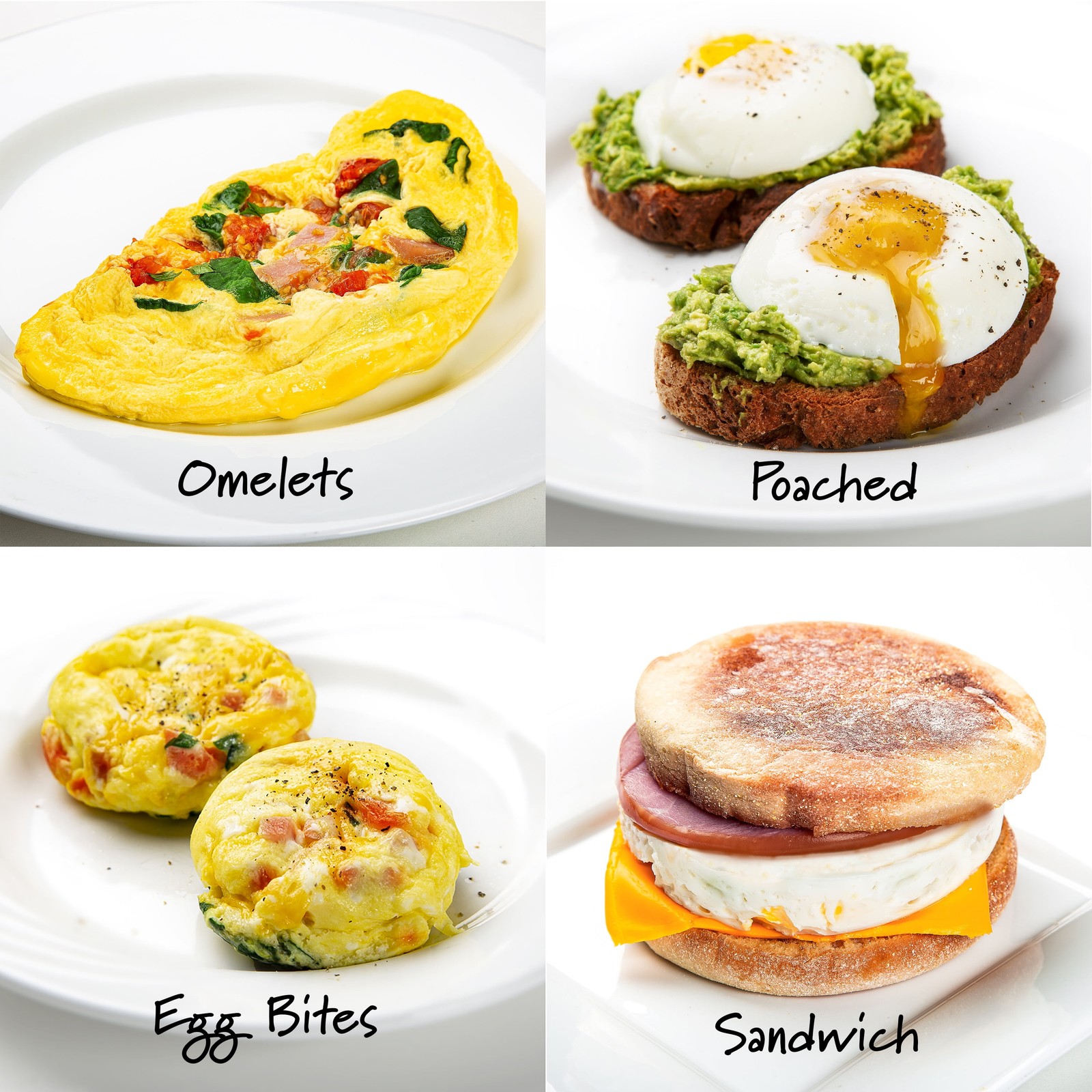 PrepSolutions 4-in-1 Microwave Egg Cooker Dishwasher Safe Parts