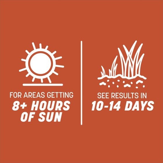 Pennington Smart Seed Texas Bermudagrass Grass Seed Mix, for Full Sun, 1.75 lb.