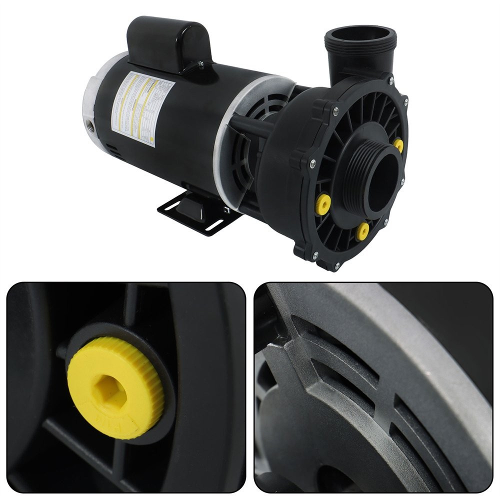 Executive 56-Frame 4HP Dual-Speed Spa Pump, 2in Intake, 2in Discharge