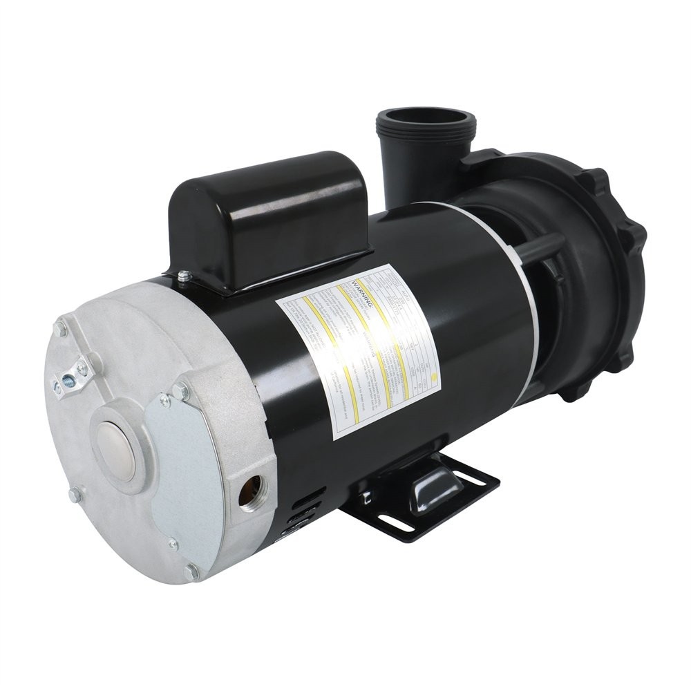Executive 56-Frame 4HP Dual-Speed Spa Pump, 2in Intake, 2in Discharge
