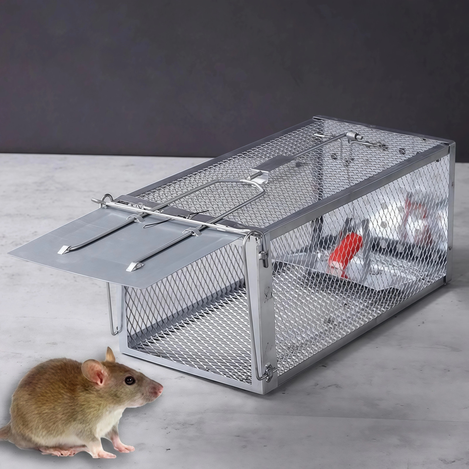 USA Mouse Trap Rat Trap Rodent Trap Live Catch Cages – Easy to Set Up and Reuse