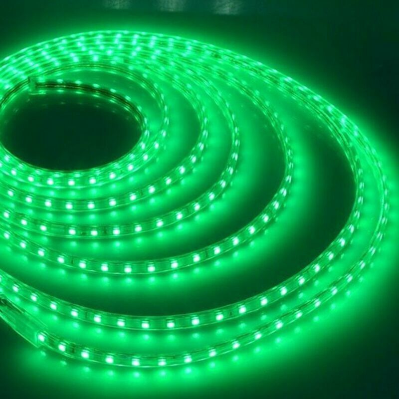 110V 220V 1m-20m Waterproof 5050 LED Flexible Tape Rope Strip Light Xmas Outdoor
