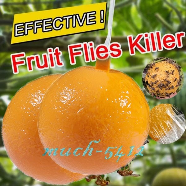 Bug Fruit Fly Traps Sticky Ball Fungus Gnat Pest Control Ball for Indoor Outdoor
