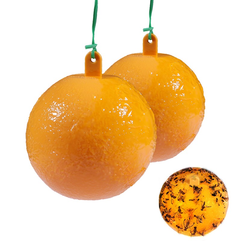 Bug Fruit Fly Traps Sticky Ball Fungus Gnat Pest Control Ball for Indoor Outdoor