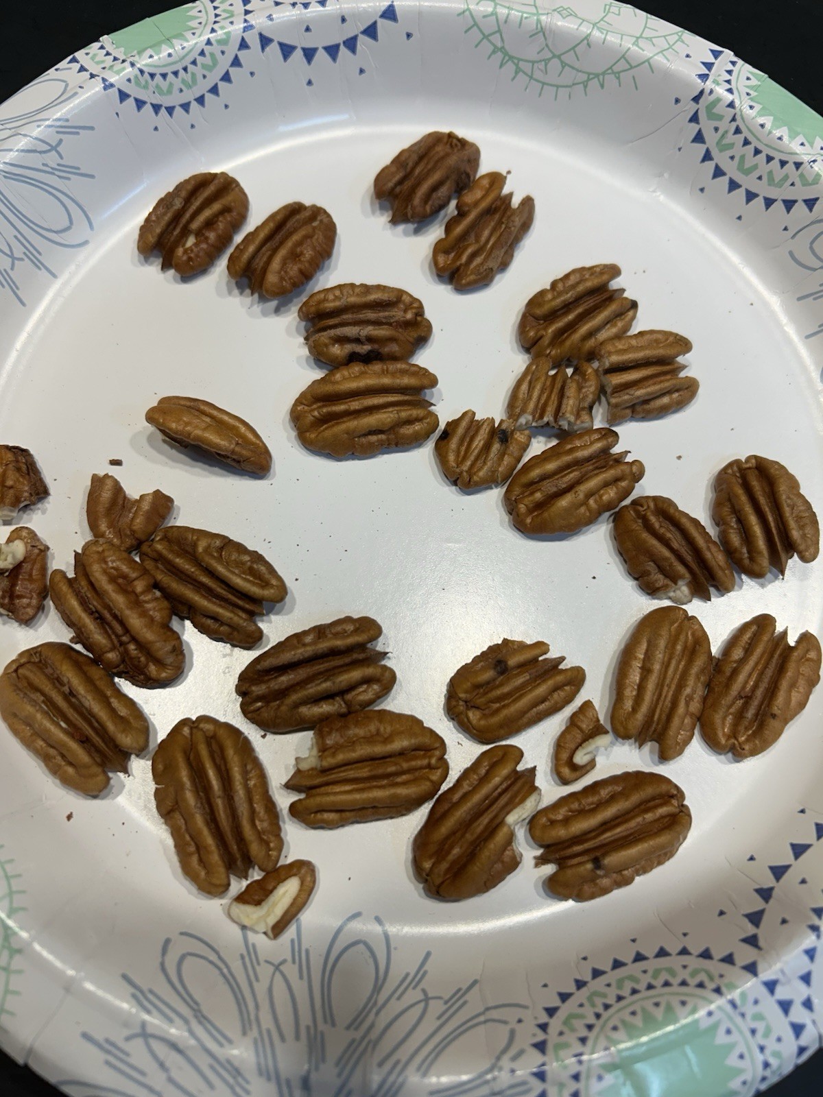 10 Lbs. 2025-2026 Squirrel Grade Pecans In The Shell, Not For Human Consumption