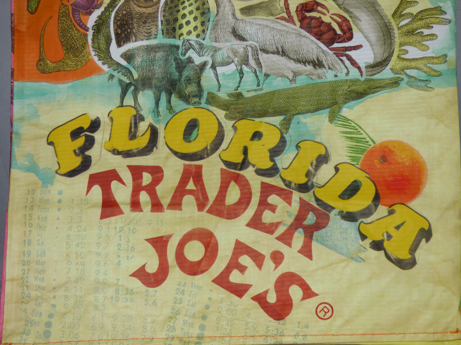 Trader Joe’s – Reusable Grocery Bag – Florida