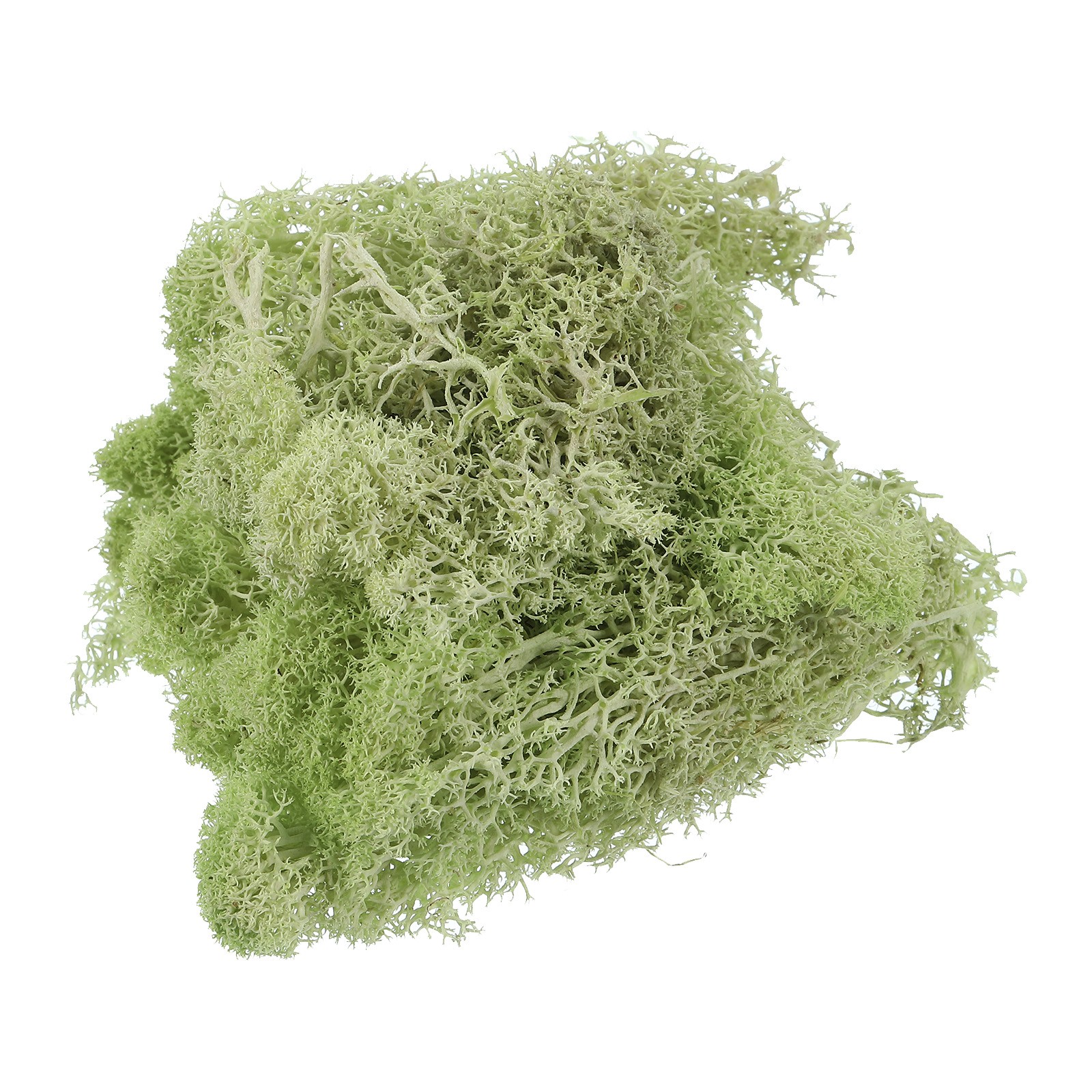 0.35 OZ Moss Preserved Moss Artificial Moss for Craft Floral Chartreuse