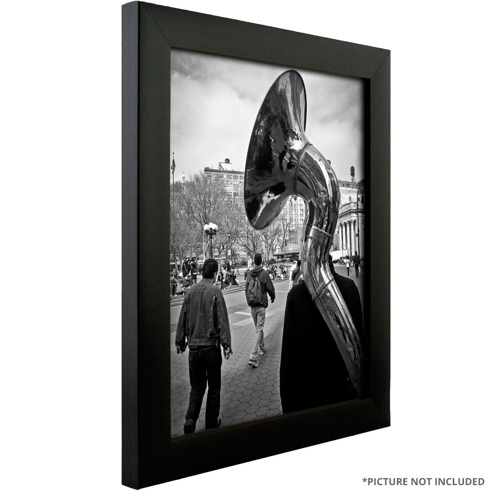 Craig Frames 1″ Contemporary Matte Black Picture Frame, 35 Sizes, Bulk Discounts